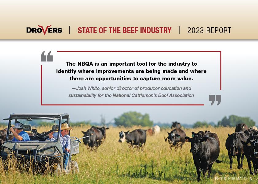 What The 2022 National Beef Quality Audit Says About The Cattle ...